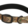 Camping & Hunting AVERY SPORTING DOG Standard Collar