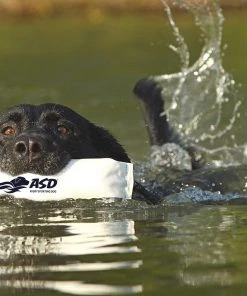 Dogs AVERY SPORTING DOG 3