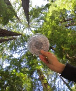 Gear MPOWERD LUCI OUTDOOR 2.0 LANTERN