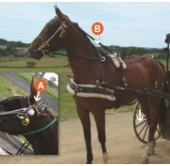 Udderly EZ EZ - THE STABLEIZER CONTROL LINE Home, Farm & Garden