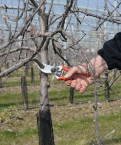 FELCO 2 Pruning Shear 5 FELCO 2 Pruning Shear