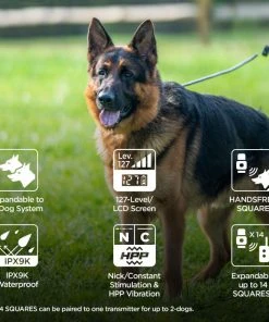 DOGTRA ARC HANDSFREE PLUS TRAINING SYSTEM 11 DOGTRA ARC HANDSFREE PLUS TRAINING SYSTEM