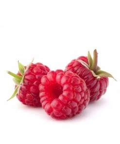 Augason Farms Freeze Dried Whole Raspberries Food & Food Storage