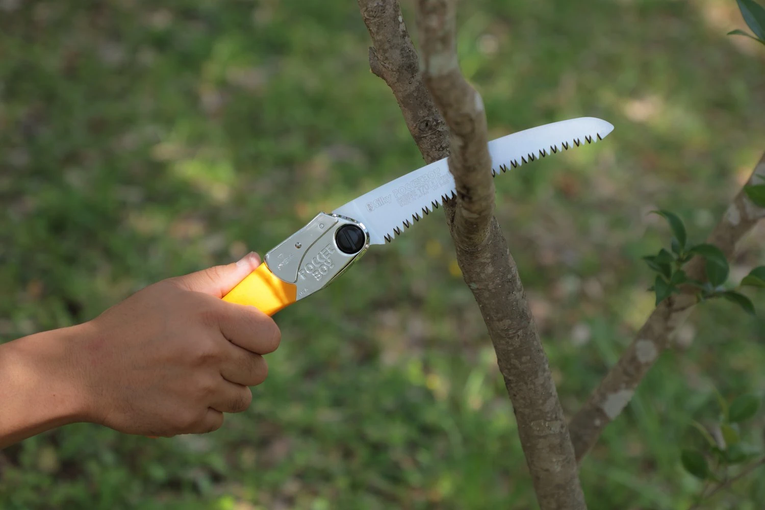 Silky Pocketboy Curve Professional 130 Hand Saws 5 Silky Pocketboy Curve Professional 130 Hand Saws