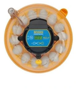 Brinsea Maxi II Advance Fully Digital 14 Egg Incubator