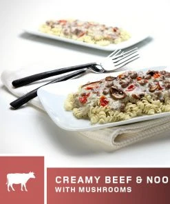 AlpineAire Creamy Beef & Noodles With Mushrooms Backpacking Meals