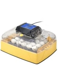 Brinsea Ovation 28 Zoologica Exotic Egg Incubator Home, Farm & Garden