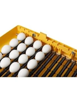 Brinsea Ovation 56 Zoologica Exotic Egg Incubator