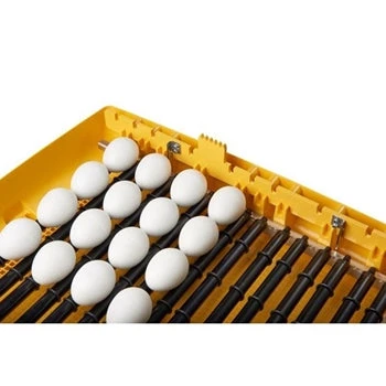 Brinsea Ovation 56 Zoologica Exotic Egg Incubator 2 Brinsea Ovation 56 Zoologica Exotic Egg Incubator