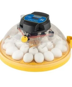 Brinsea Maxi 24 Advance Fully Digital 24 Egg Incubator