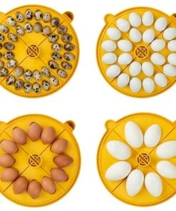 Brinsea Maxi 24 EX Fully Automatic 24 Egg Incubator