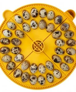 Brinsea Maxi Egg Quadrants Home, Farm & Garden