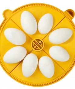 Brinsea Maxi Egg Quadrants Home, Farm & Garden