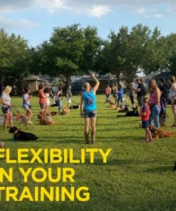 DOGTRA ARC HANDSFREE PLUS TRAINING SYSTEM 15 DOGTRA ARC HANDSFREE PLUS TRAINING SYSTEM