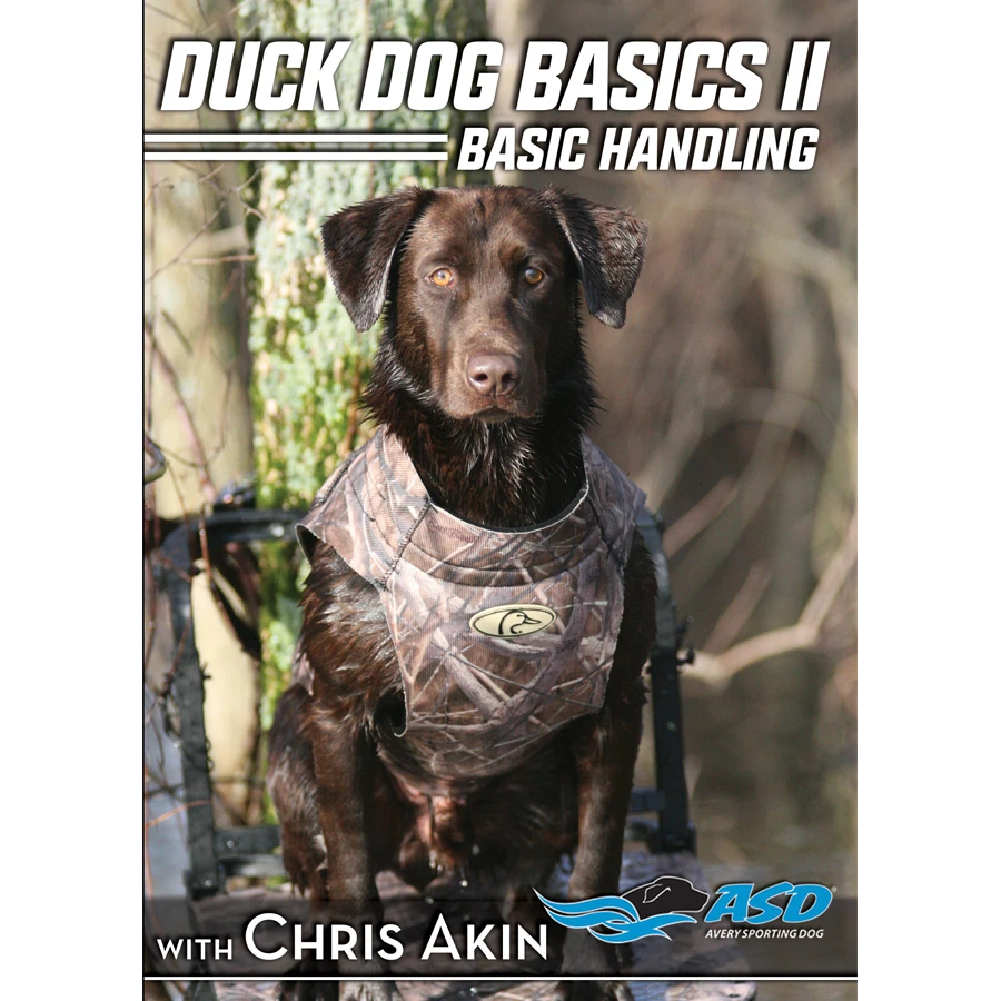Camping & Hunting AVERY SPORTING DOG CHRIS AKIN DUCK DOG BASICS RETRIEVER ~ INSTRUCTIONAL DVDS 2 Camping & Hunting AVERY SPORTING DOG CHRIS AKIN DUCK DOG BASICS RETRIEVER ~ INSTRUCTIONAL DVDS