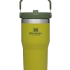 STANLEY ICEFLOW FLIP STRAW TUMBLER 20 Oz