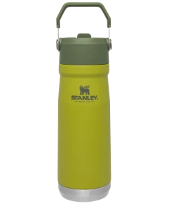 STANLEY THE ICEFLOW FLIP STRAW WATER BOTTLE 22 Oz.