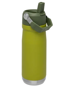 STANLEY THE ICEFLOW FLIP STRAW WATER BOTTLE 22 Oz.