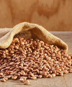 Augason Farms Pinto Beans, 4 Gallon Pail 13 Augason Farms Pinto Beans, 4 Gallon Pail