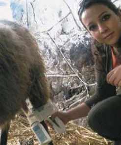 EZ - UDDERLY EZ HAND SHEEP MILKERS 7 EZ - UDDERLY EZ HAND SHEEP MILKERS