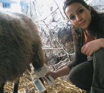 EZ - UDDERLY EZ HAND SHEEP MILKERS 4 EZ - UDDERLY EZ HAND SHEEP MILKERS