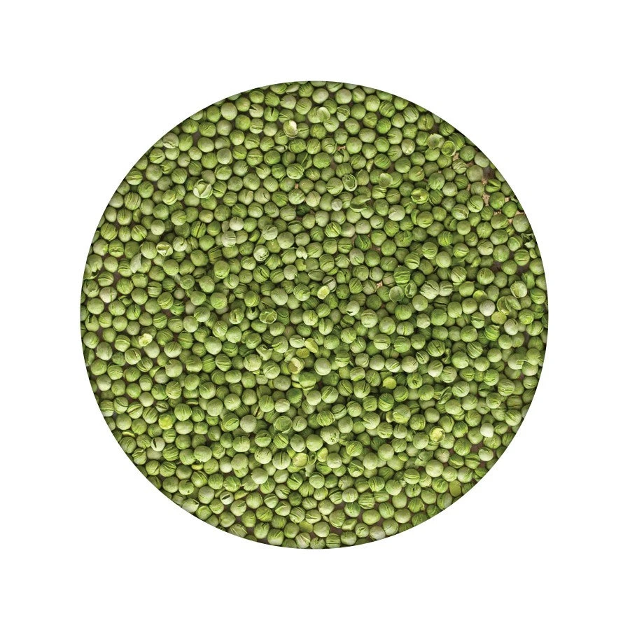 Emergency Essentials Freeze-Dried Green Peas Large Can 3 Emergency Essentials Freeze-Dried Green Peas Large Can