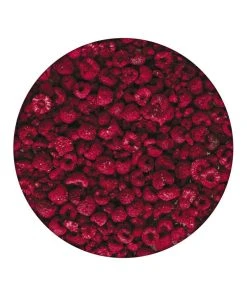 Food & Food Storage Emergency Essentials Freeze-Dried Raspberries Large Can