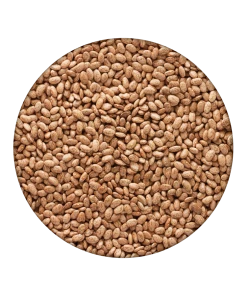 Emergency Essentials Pinto Beans Large Can 7 Emergency Essentials Pinto Beans Large Can