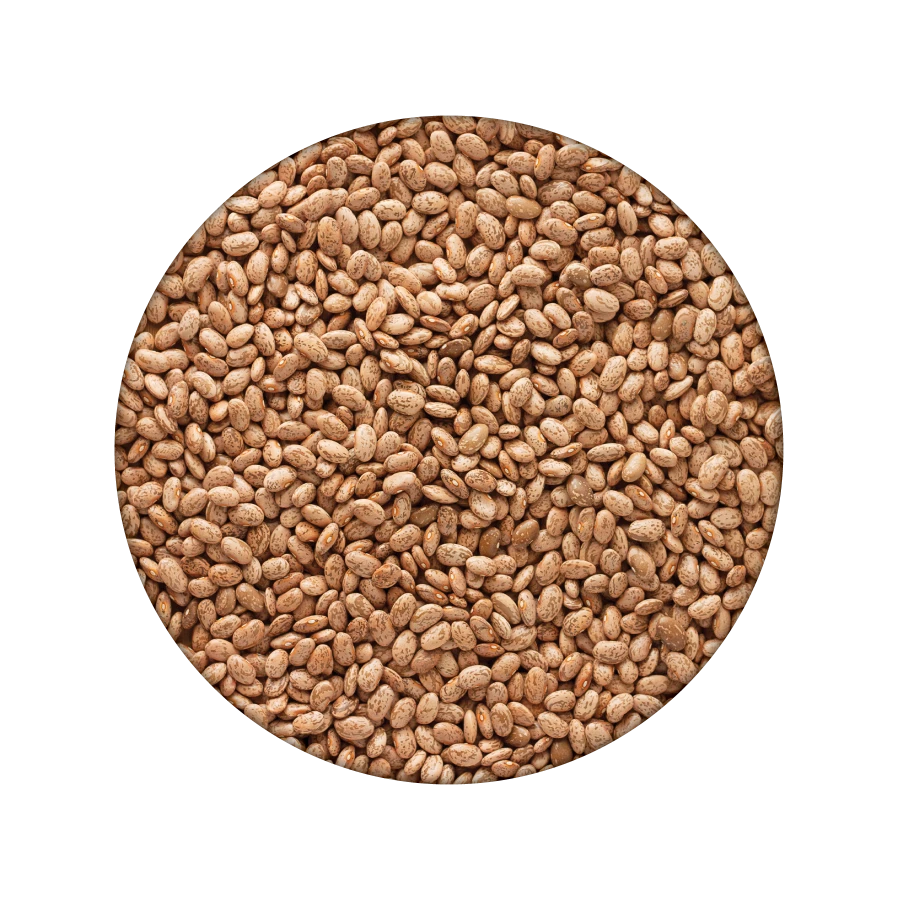 Emergency Essentials Pinto Beans Large Can 4 Emergency Essentials Pinto Beans Large Can