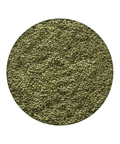 Emergency Essentials Lentils Large Can