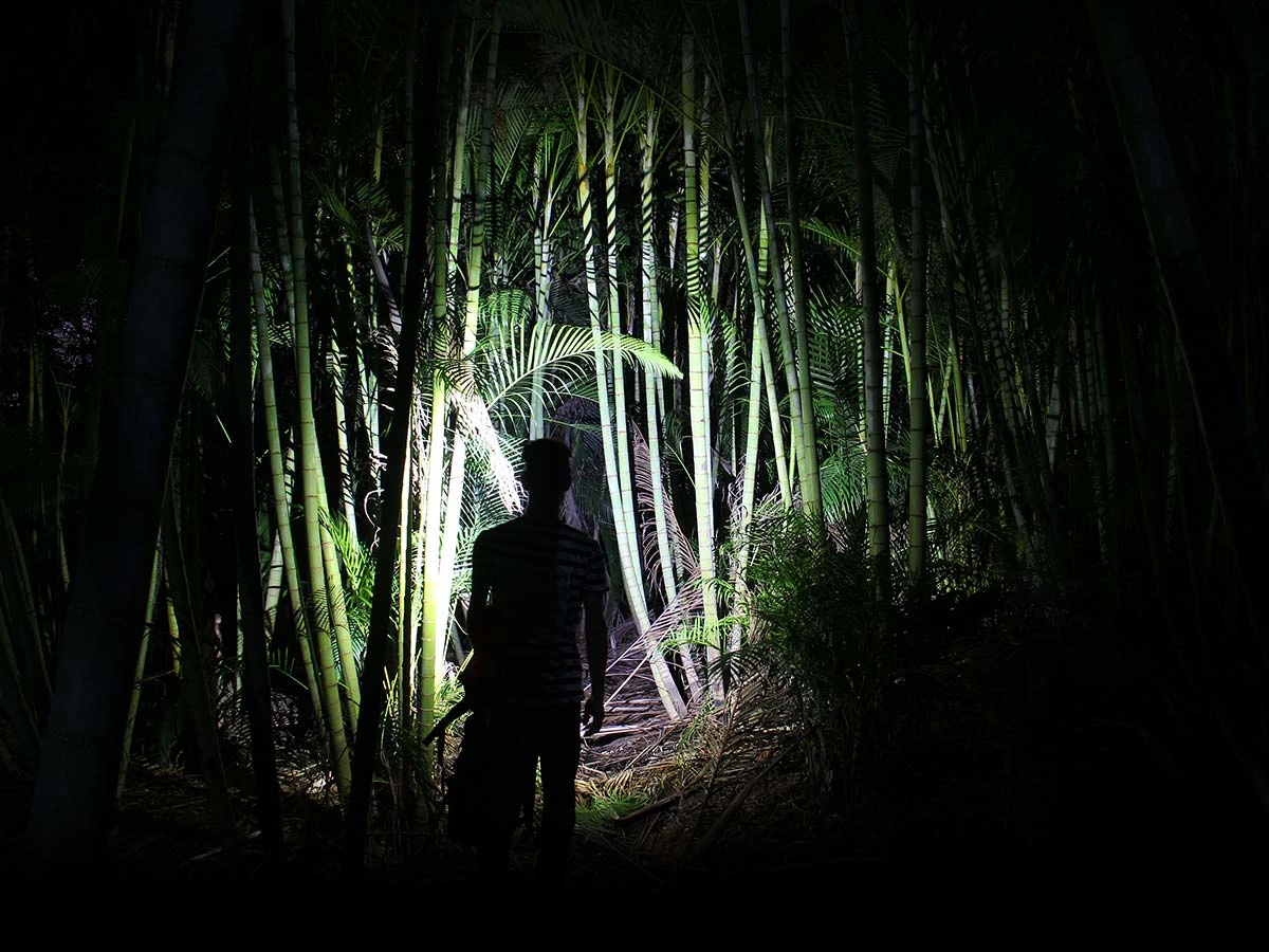 Fenix HL40R Focusable USB Rechargeable Headlamp Headlamps 6 Fenix HL40R Focusable USB Rechargeable Headlamp Headlamps