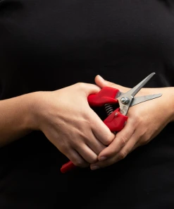 FELCO 310 Fruit Harvesting Pruning Shear Home, Farm & Garden