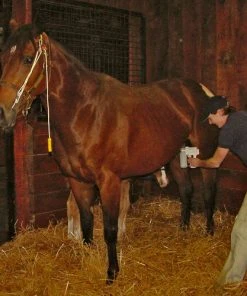 Home, Farm & Garden EZ - UDDERLY EZ HAND MARE MILKERS