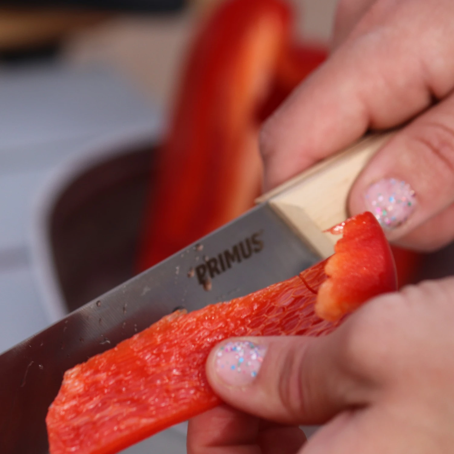 Primus CampFire Knives Gear 5 Primus CampFire Knives Gear