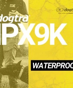 DOGTRA 1902S 2-DOG TRAINING SYSTEM