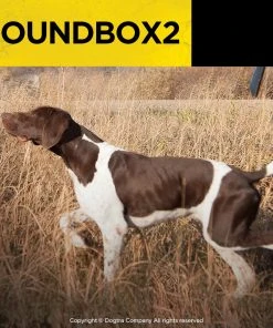 DOGTRA SOUND BOX 2 Dogs