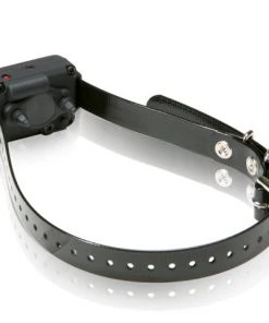 Dogs DOGTRA DUMMY COLLAR- SMALL
