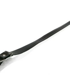 Dogs DOGTRA COLLAR STRAP 1