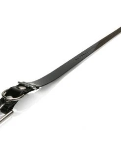 Dogs DOGTRA COLLAR STRAP 3/4"X24" BLACK