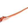 DOGTRA COLLAR STRAP 3/4"X28" Dogs
