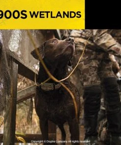 Dogtra 1900S Wetlands Dog Training E-Collar System Dogs