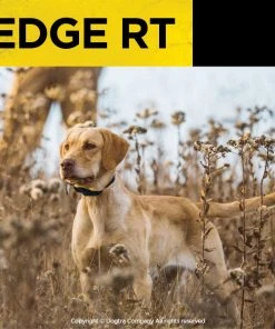 DOGTRA EDGE RT TRAINING SYSTEM Dogs