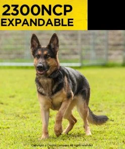 DOGTRA 2300NCP EXPANDABLE TRAINING SYSTEM Dogs