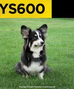 Dogs DOGTRA YS600 NO BARK COLLAR 7 Dogs DOGTRA YS600 NO BARK COLLAR