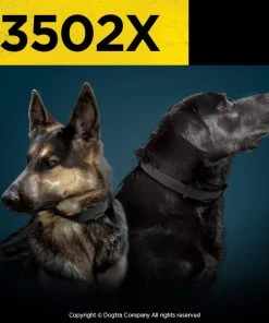 DOGTRA 3502X 2-DOG TRAINING SYSTEM