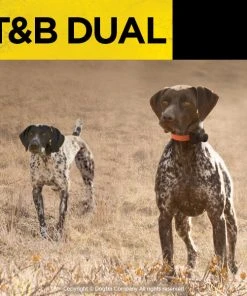 Dogs Dogtra T&B Dual 1-Dog Training And Beeper System