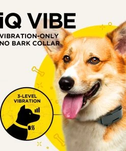 DOGTRA IQ VIBE NO BARK COLLAR Dogs