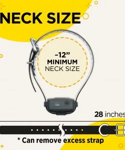 DOGTRA IQ VIBE NO BARK COLLAR Dogs