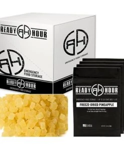 Ready Hour Freeze-Dried Pineapple Case Pack