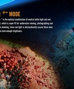 FENIX SD11 1000 LUMENS DIVE LIGHT